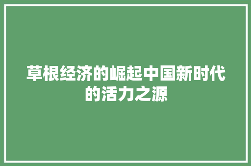 草根经济的崛起中国新时代的活力之源 草根经济的崛起中国新时代的活力之源