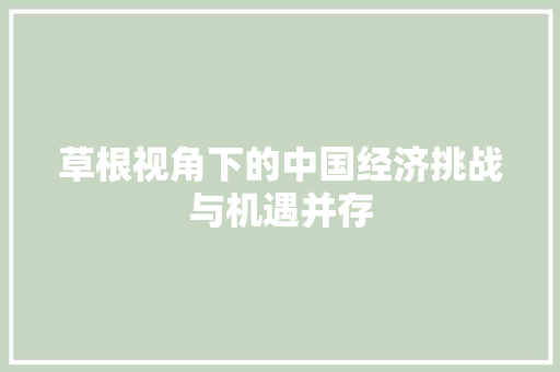 草根视角下的中国经济挑战与机遇并存 草根视角下的中国经济挑战与机遇并存