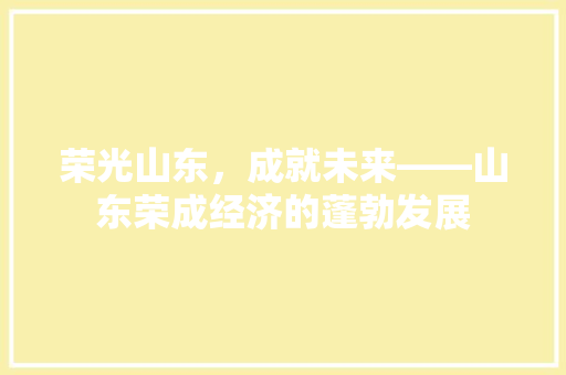 荣光山东，成就未来——山东荣成经济的蓬勃发展