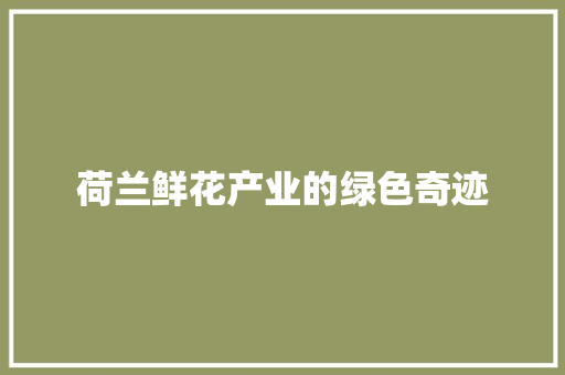 荷兰鲜花产业的绿色奇迹 荷兰鲜花产业的绿色奇迹