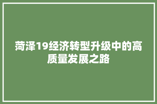 菏泽19经济转型升级中的高质量发展之路 菏泽19经济转型升级中的高质量发展之路