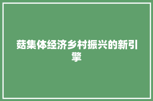 菇集体经济乡村振兴的新引擎 菇集体经济乡村振兴的新引擎