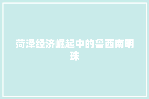 菏泽经济崛起中的鲁西南明珠 菏泽经济崛起中的鲁西南明珠