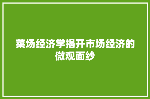 菜场经济学揭开市场经济的微观面纱 菜场经济学揭开市场经济的微观面纱