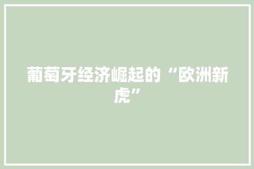 葡萄牙经济崛起的“欧洲新虎” 葡萄牙经济崛起的“欧洲新虎”