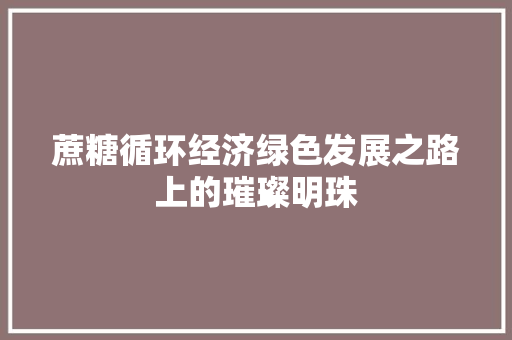 蔗糖循环经济绿色发展之路上的璀璨明珠 蔗糖循环经济绿色发展之路上的璀璨明珠
