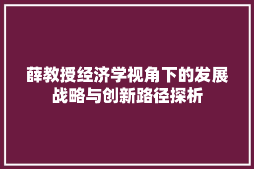 薛教授经济学视角下的发展战略与创新路径探析 薛教授经济学视角下的发展战略与创新路径探析