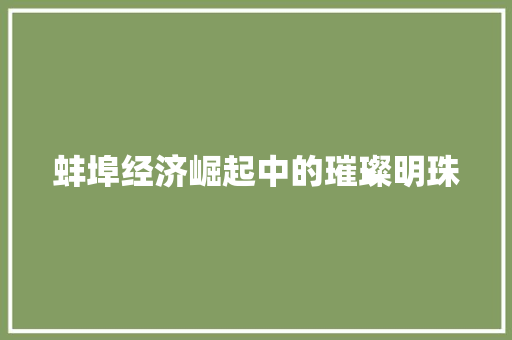 蚌埠经济崛起中的璀璨明珠 蚌埠经济崛起中的璀璨明珠