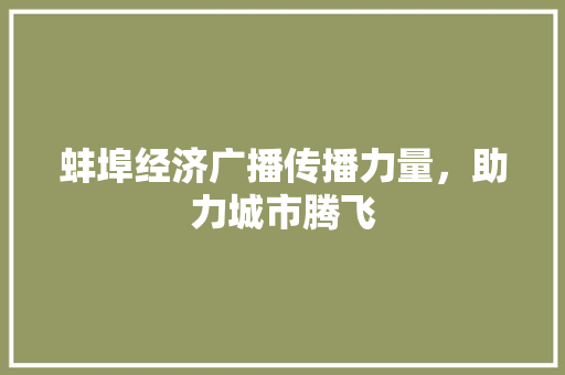蚌埠经济广播传播力量,助力城市腾飞 蚌埠经济广播传播力量,助力城市腾飞