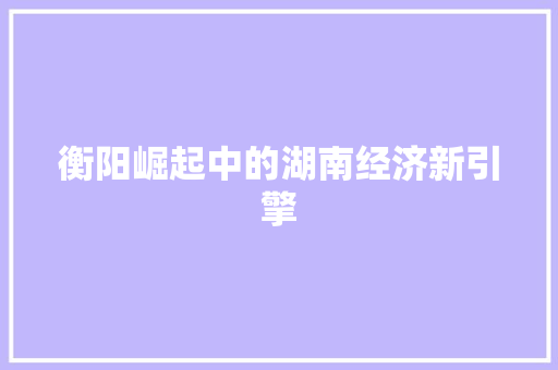 衡阳崛起中的湖南经济新引擎 衡阳崛起中的湖南经济新引擎