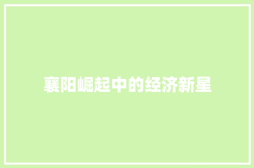 襄阳崛起中的经济新星 襄阳崛起中的经济新星