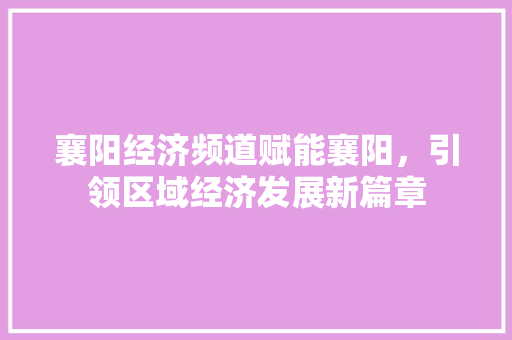 襄阳经济频道赋能襄阳,引领区域经济发展新篇章 襄阳经济频道赋能襄阳,引领区域经济发展新篇章