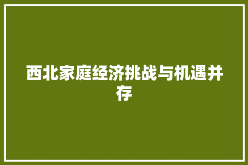 西北家庭经济挑战与机遇并存 西北家庭经济挑战与机遇并存