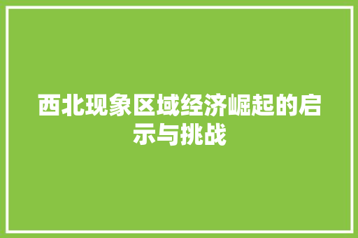 西北现象区域经济崛起的启示与挑战