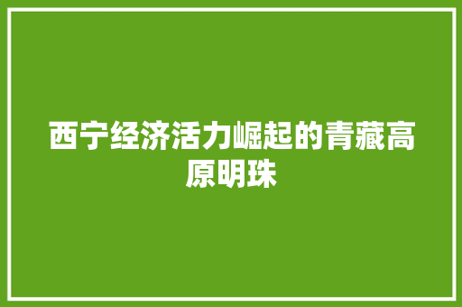 西宁经济活力崛起的青藏高原明珠 西宁经济活力崛起的青藏高原明珠