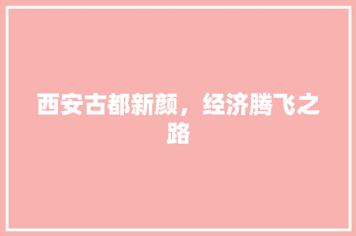 西安古都新颜,经济腾飞之路 西安古都新颜,经济腾飞之路