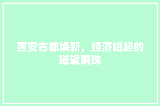 西安古都焕新,经济崛起的璀璨明珠 西安古都焕新,经济崛起的璀璨明珠