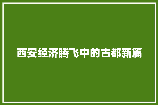 西安经济腾飞中的古都新篇 西安经济腾飞中的古都新篇
