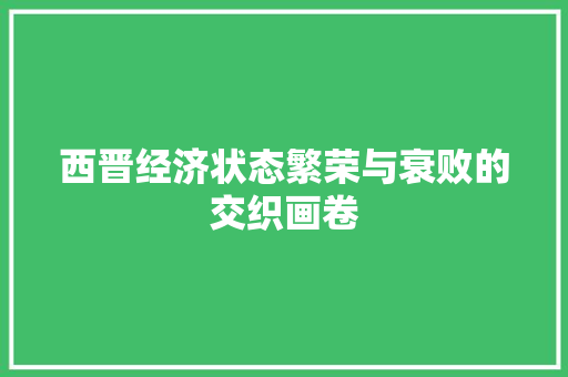 西晋经济状态繁荣与衰败的交织画卷 西晋经济状态繁荣与衰败的交织画卷