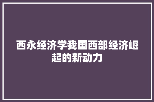 西永经济学我国西部经济崛起的新动力 西永经济学我国西部经济崛起的新动力