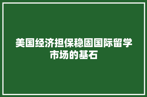 美国经济担保稳固国际留学市场的基石 美国经济担保稳固国际留学市场的基石