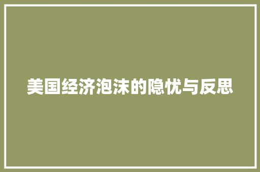 美国经济泡沫的隐忧与反思 美国经济泡沫的隐忧与反思