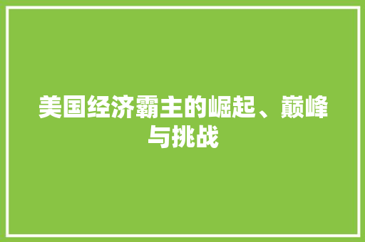 美国经济霸主的崛起、巅峰与挑战 美国经济霸主的崛起、巅峰与挑战