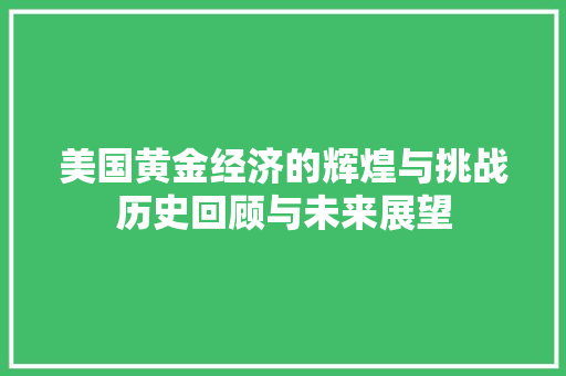 美国黄金经济的辉煌与挑战历史回顾与未来展望 美国黄金经济的辉煌与挑战历史回顾与未来展望
