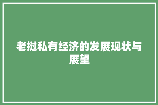 老挝私有经济的发展现状与展望 老挝私有经济的发展现状与展望