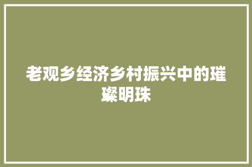 老观乡经济乡村振兴中的璀璨明珠 老观乡经济乡村振兴中的璀璨明珠