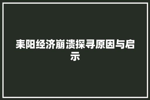 耒阳经济崩溃探寻原因与启示 耒阳经济崩溃探寻原因与启示