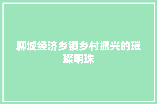 聊城经济乡镇乡村振兴的璀璨明珠 聊城经济乡镇乡村振兴的璀璨明珠