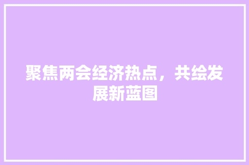 聚焦两会经济热点,共绘发展新蓝图 聚焦两会经济热点,共绘发展新蓝图
