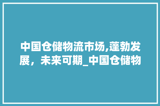 中国仓储物流市场,蓬勃发展,未来可期_中国仓储物流市场趋势分析 中国仓储物流市场,蓬勃发展,未来可期_中国仓储物流市场趋势分析
