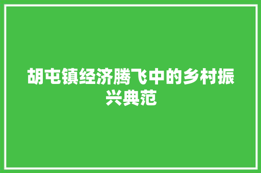 胡屯镇经济腾飞中的乡村振兴典范 胡屯镇经济腾飞中的乡村振兴典范