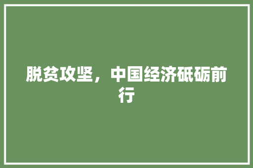 脱贫攻坚,中国经济砥砺前行 脱贫攻坚,中国经济砥砺前行