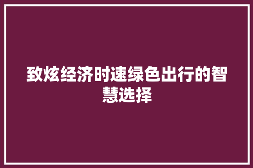 致炫经济时速绿色出行的智慧选择 致炫经济时速绿色出行的智慧选择