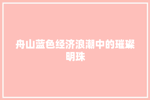 舟山蓝色经济浪潮中的璀璨明珠 舟山蓝色经济浪潮中的璀璨明珠