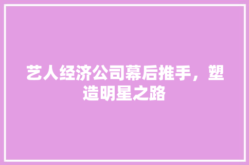 艺人经济公司幕后推手,塑造明星之路 艺人经济公司幕后推手,塑造明星之路