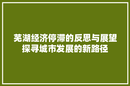 芜湖经济停滞的反思与展望探寻城市发展的新路径 芜湖经济停滞的反思与展望探寻城市发展的新路径
