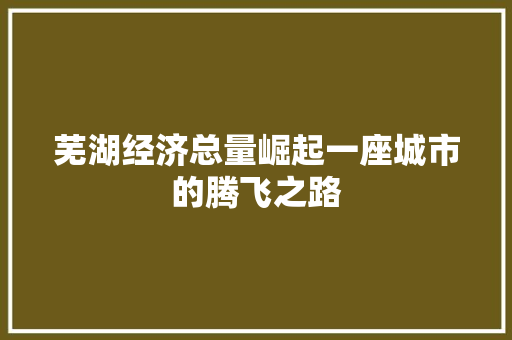 芜湖经济总量崛起一座城市的腾飞之路 芜湖经济总量崛起一座城市的腾飞之路