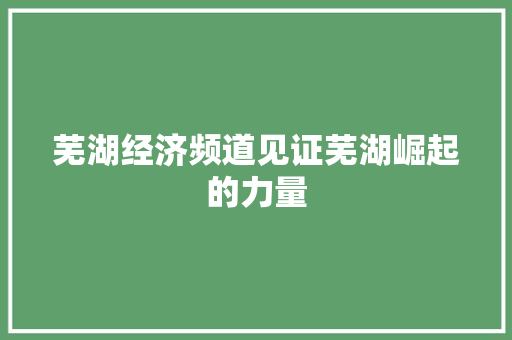 芜湖经济频道见证芜湖崛起的力量