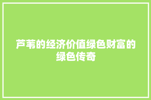 芦苇的经济价值绿色财富的绿色传奇 芦苇的经济价值绿色财富的绿色传奇