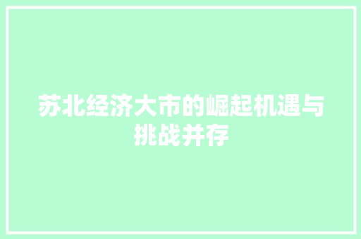苏北经济大市的崛起机遇与挑战并存 苏北经济大市的崛起机遇与挑战并存