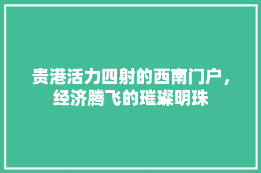 贵港活力四射的西南门户,经济腾飞的璀璨明珠 贵港活力四射的西南门户,经济腾飞的璀璨明珠