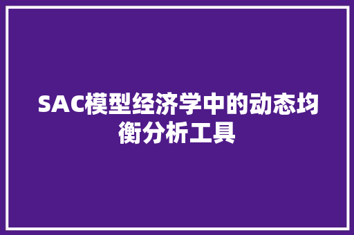 SAC模型经济学中的动态均衡分析工具