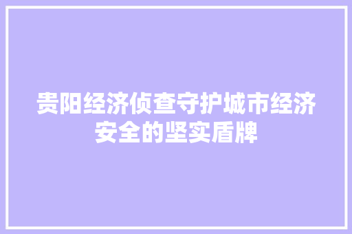 贵阳经济侦查守护城市经济安全的坚实盾牌 贵阳经济侦查守护城市经济安全的坚实盾牌
