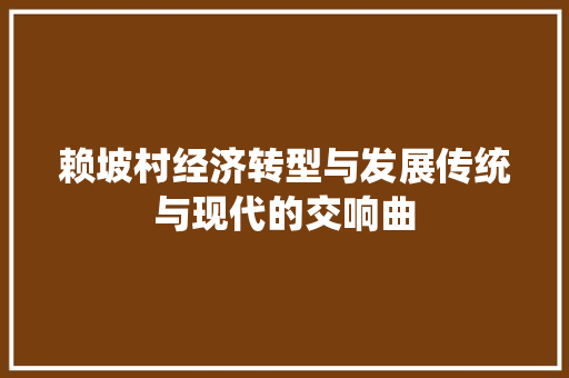 赖坡村经济转型与发展传统与现代的交响曲 赖坡村经济转型与发展传统与现代的交响曲
