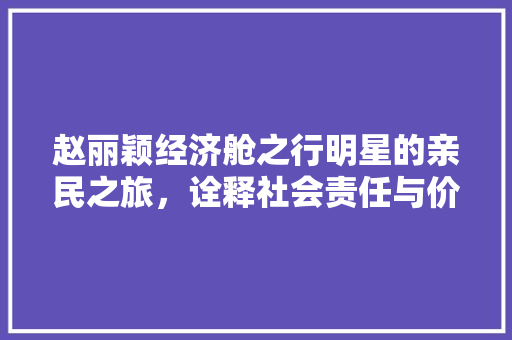 赵丽颖经济舱之行明星的亲民之旅,诠释社会责任与价值 赵丽颖经济舱之行明星的亲民之旅,诠释社会责任与价值