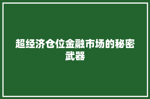 超经济仓位金融市场的秘密武器 超经济仓位金融市场的秘密武器